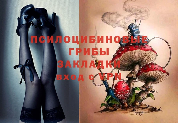 индика Верхний Тагил
