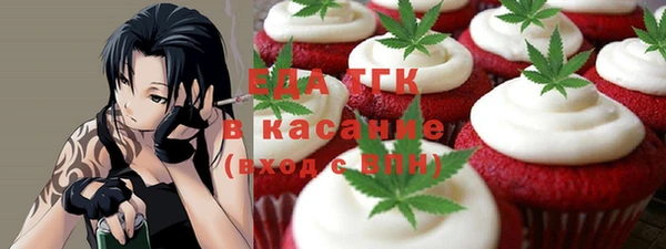 индика Верхний Тагил
