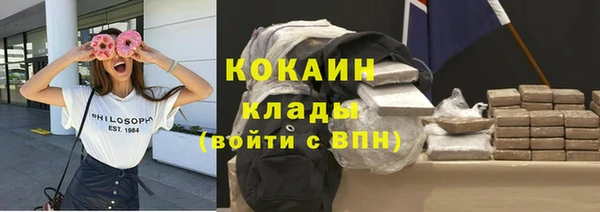 индика Верхний Тагил