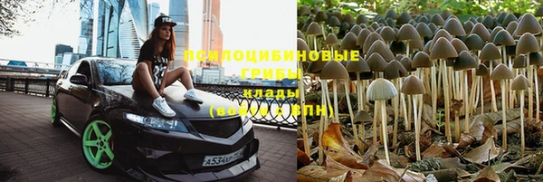 индика Верхний Тагил