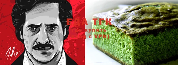 индика Верхний Тагил