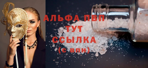 индика Верхний Тагил