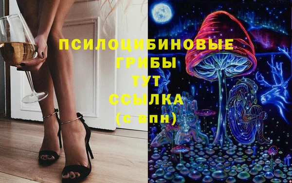 индика Верхний Тагил