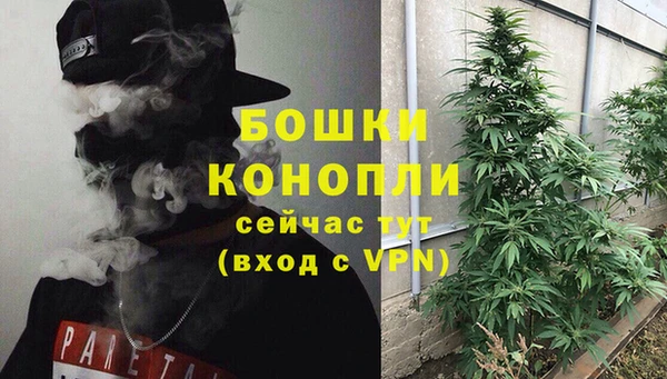 индика Верхний Тагил
