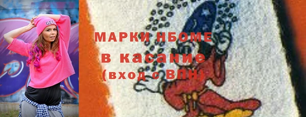 индика Верхний Тагил