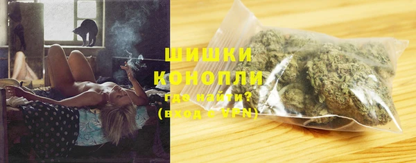 индика Верхний Тагил