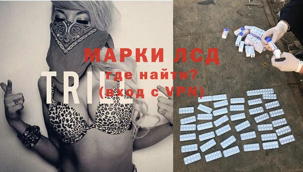 индика Верхний Тагил