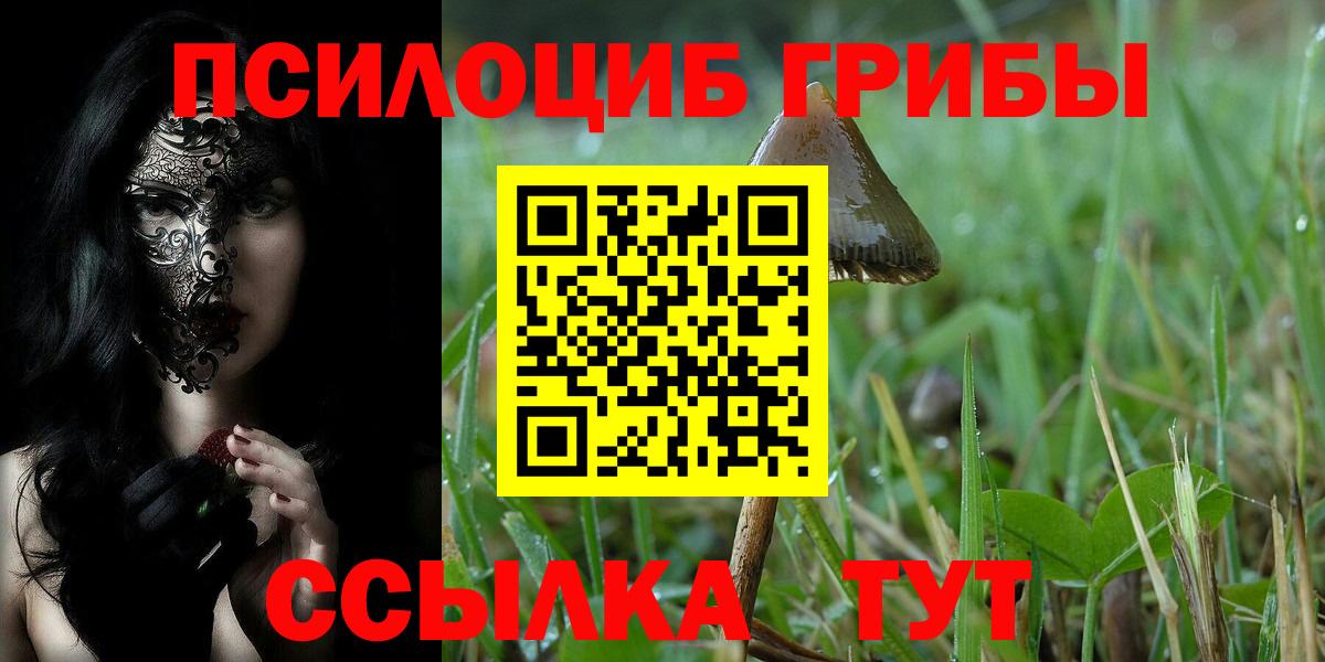 Псилоцибиновые грибы ЛСД  Вход с VPN  Назарово  Псилоцибиновые грибы прущие грибы 