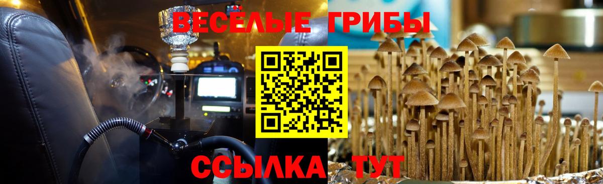 Галлюциногенные грибы MAGIC MUSHROOMS Назарово